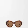 Coil Butterfly Sunglasses Coil Butterfly Sunglasses