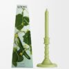 Cucumber Wax Candleholder Cucumber Wax Candleholder