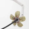 Flor Necklace in Sterling Silver and Crystals Flor Necklace in Sterling Silver and Crystals