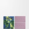 Ivy Soap Bar Duo Set
