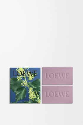 Ivy Soap Bar Duo Set