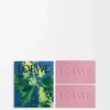 Ivy Soap Bar Duo Set Ivy Soap Bar Duo Set