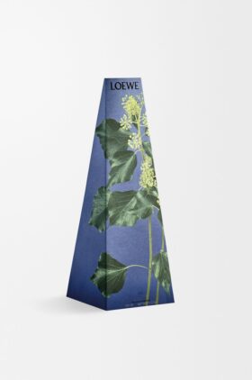Ivy wax candleholder