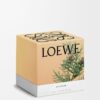 Large Cypress Balls Candle