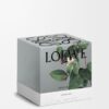 Large Honeysuckle Candle Large Honeysuckle Candle