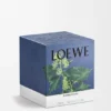 Large Ivy Candle Large Ivy Candle