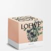 Large Oregano Candle Large Oregano Candle