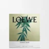Large Scent of Marihuana Candle Large Scent of Marihuana Candle