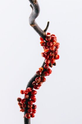 LOEWE 7 EDT 100ml Gift Set