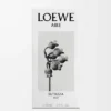Loewe Aire Sutileza Elixir 50 Ml Loewe Aire Sutileza Elixir 50 Ml