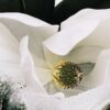 LOEWE Aura White Magnolia 100ml