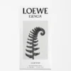 Loewe Esencia Eau De Parfum 100Ml