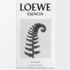 LOEWE Esencia EDP 150ml LOEWE Esencia EDP 150ml