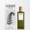 LOEWE Esencia EDP 50ml LOEWE Esencia EDP 50ml