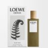 LOEWE Esencia EDT 50ml LOEWE Esencia EDT 50ml