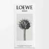 Loewe Solo Eau De Toilette 50 Ml Loewe Solo Eau De Toilette 50 Ml