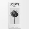 LOEWE Solo Elixir 50ml