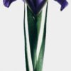 LOEWE Solo Elixir 100ml