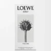 Loewe Solo Vulcan Eau De Parfum 50 Ml Loewe Solo Vulcan Eau De Parfum 50 Ml