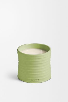 Medium Cucumber Candle Medium Cucumber Candle