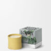 Medium Honeysuckle Candle