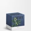 Medium Ivy Candle Medium Ivy Candle