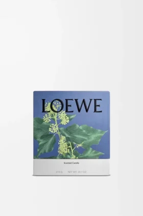 Medium Ivy Candle