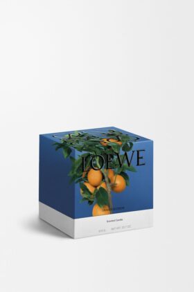 Medium Orange Blossom Candle Medium Orange Blossom Candle