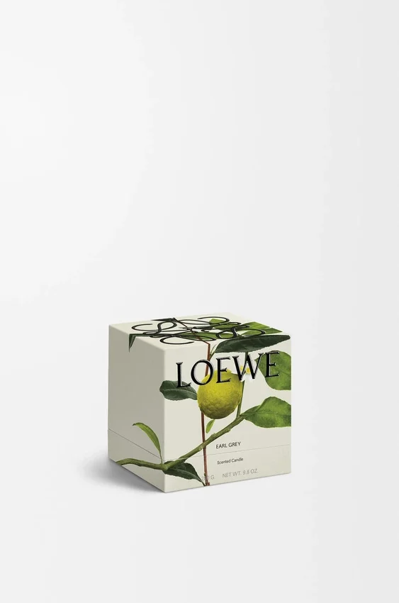 Midi Earl Grey Scented Candle Midi Earl Grey Scented Candle