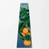 Orange Blossom Wax Candleholder Orange Blossom Wax Candleholder