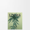Scent of Marihuana Soap Bar Duo Set