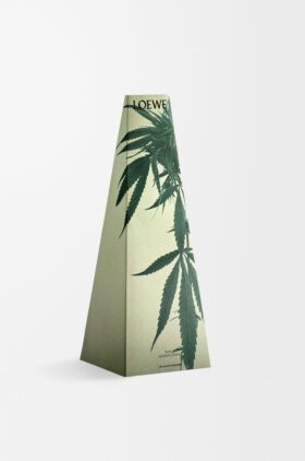 Scent of Marihuana wax candleholder Scent of Marihuana wax candleholder