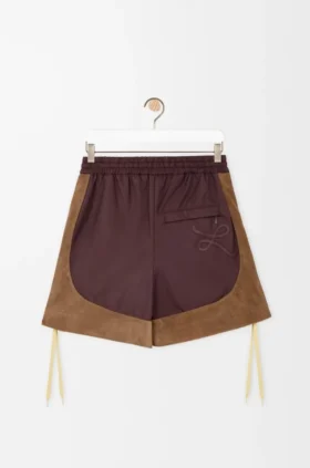 Shorts in Technical Fabric
