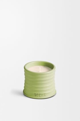 Small Cucumber Candle Small Cucumber Candle