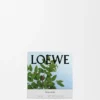 Small Incense Candle Small Incense Candle