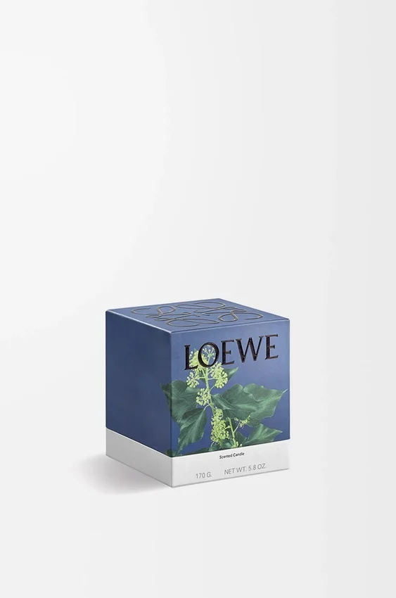 Small Ivy Candle Small Ivy Candle