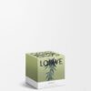 Small Marihuana Candle Small Marihuana Candle