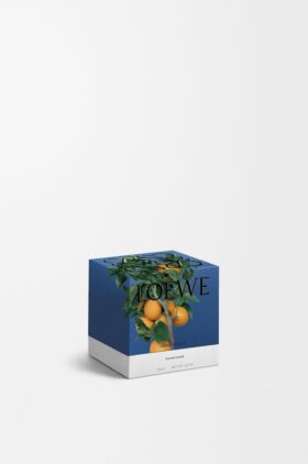 Small Orange Blossom Candle Small Orange Blossom Candle