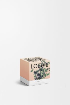 Small Oregano Candle Small Oregano Candle