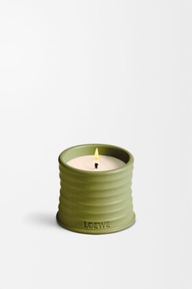 Small Pistachio Candle Small Pistachio Candle
