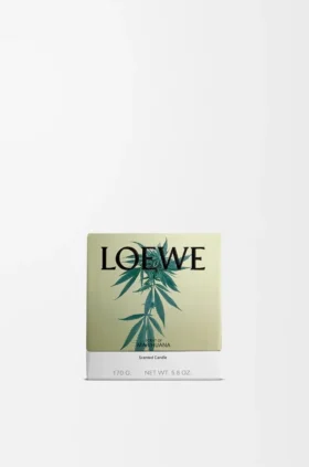 Small Scent of Marihuana Candle
