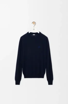 Sweater in Merino Wool