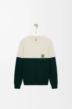 Sweater in Wool