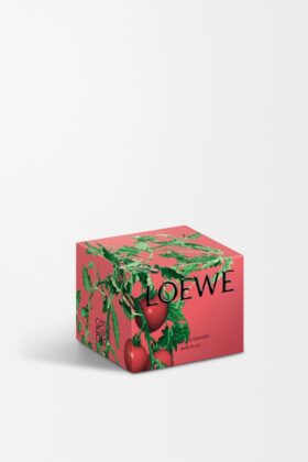 Tomato Leaves body scrub