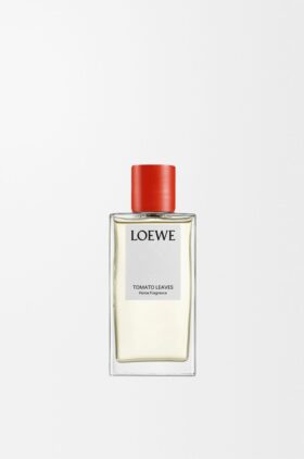 Tomato Leaves room spray