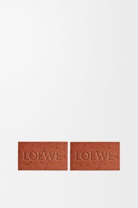 Tomato Leaves Soap Bar Duo Set